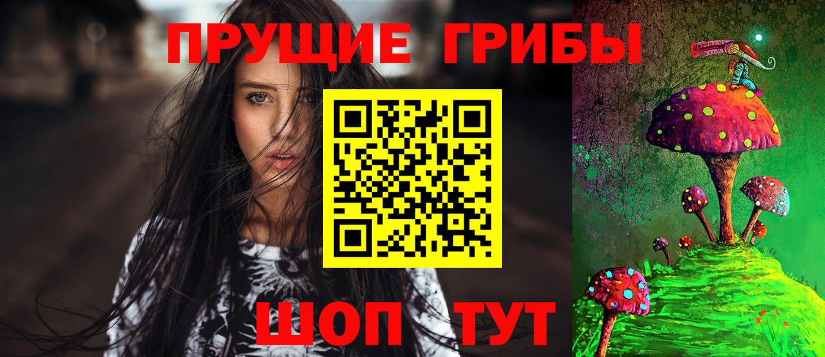 Можайск  Галлюциногенные грибы прущие грибы  Галлюциногенные грибы Cubensis  Вход с VPN 