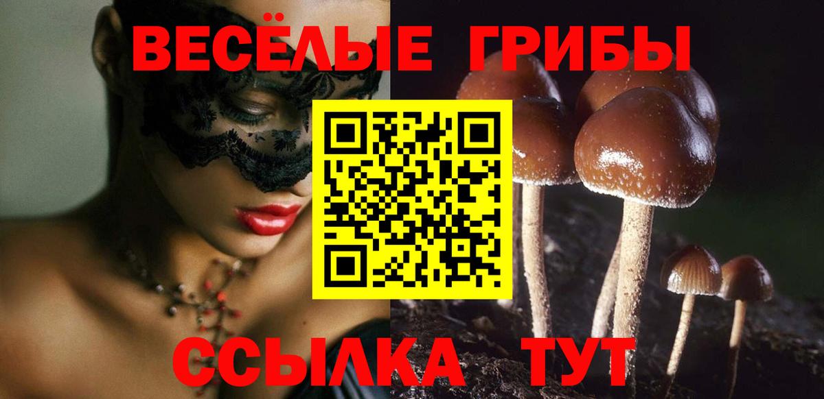 Псилоцибиновые грибы Psilocybine cubensis Можайск